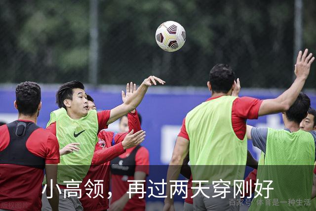 小高领，再过两天穿刚好