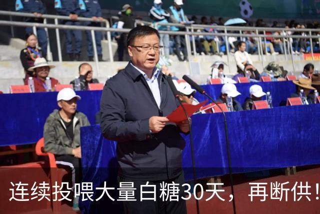连续投喂大量白糖30天，再断供！国外网红扮“蚂蚁天神”整蛊野生蚁群